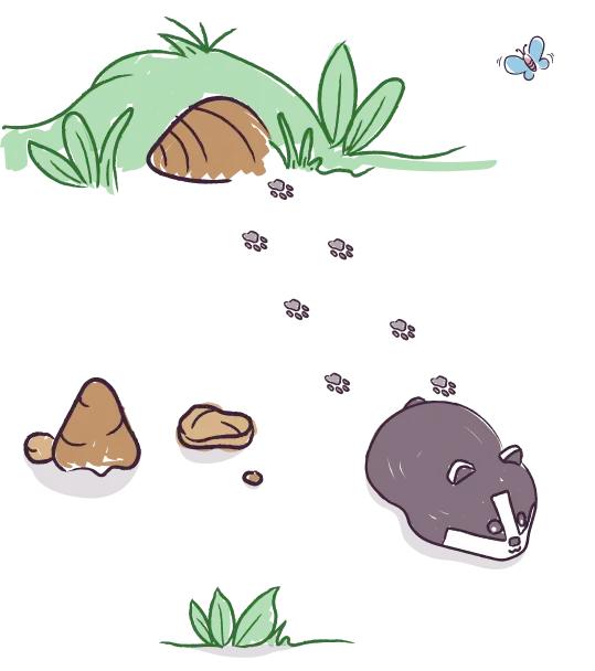 Header Illustration LEFT.png